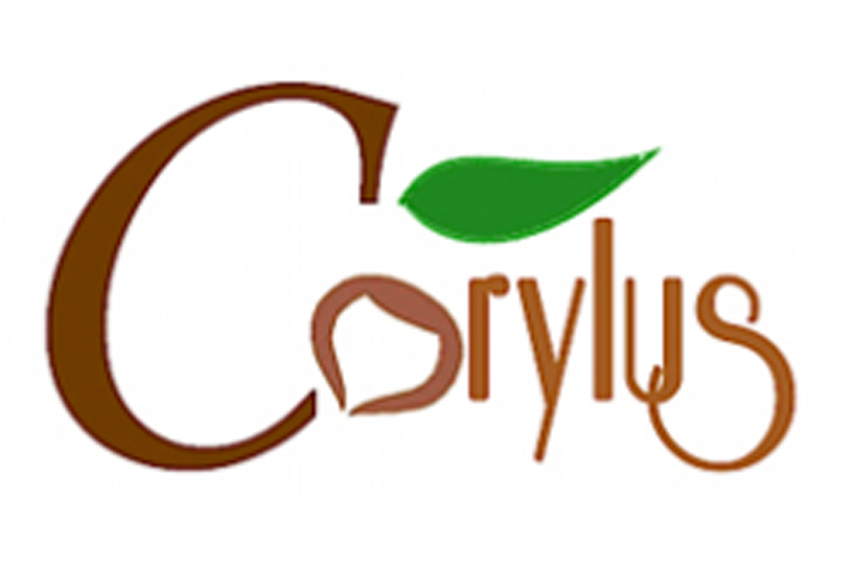 corylus
